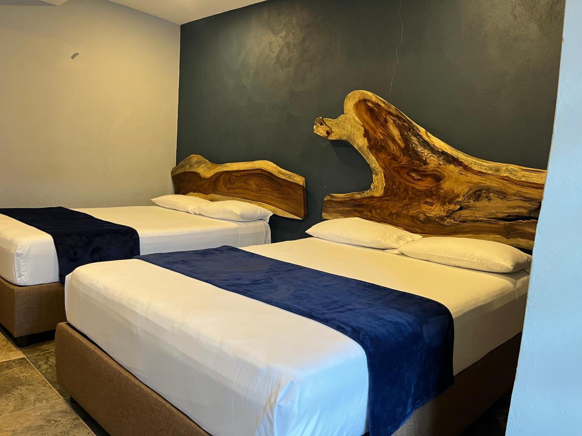 Hotel La Bikina Tequila Extérieur photo